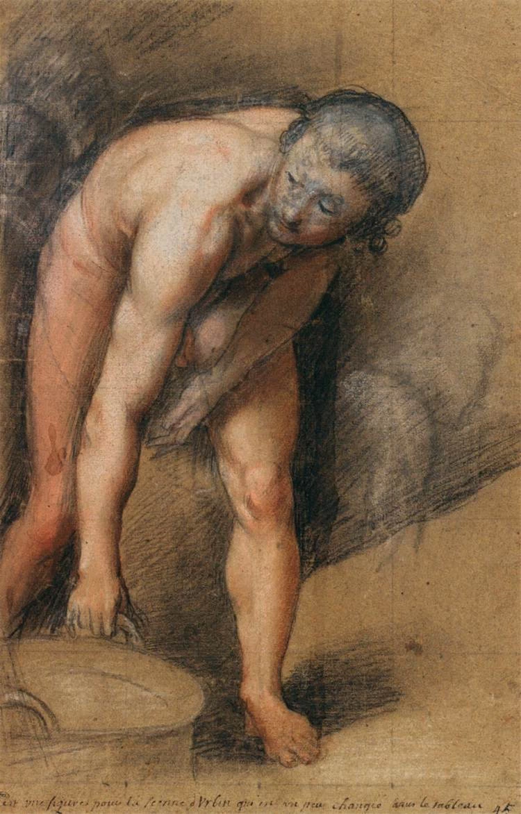 Studio di uomo - Louvre, Barocci Federico